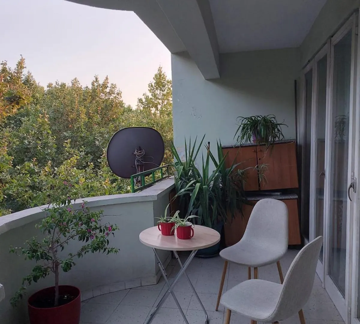 River Tirana Hostel Albania